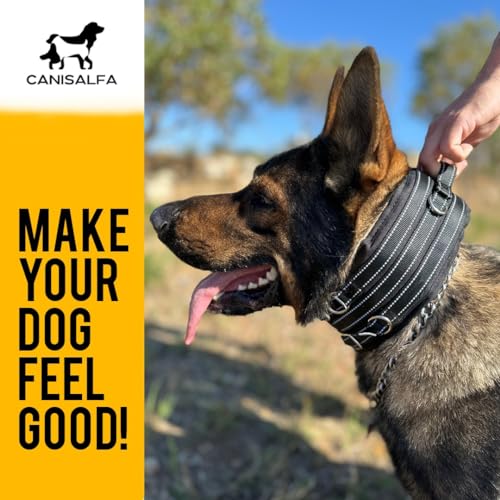 Durable Tactical Dog Collar - Nylon Dog Collar | Canisalfa
