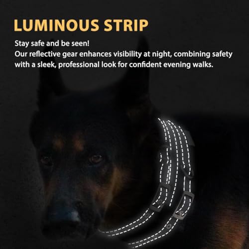 Durable Tactical Dog Collar - Nylon Dog Collar | Canisalfa