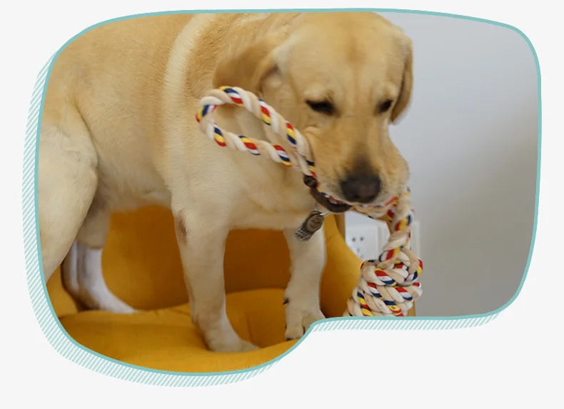 Rope and chewing toy for dogs