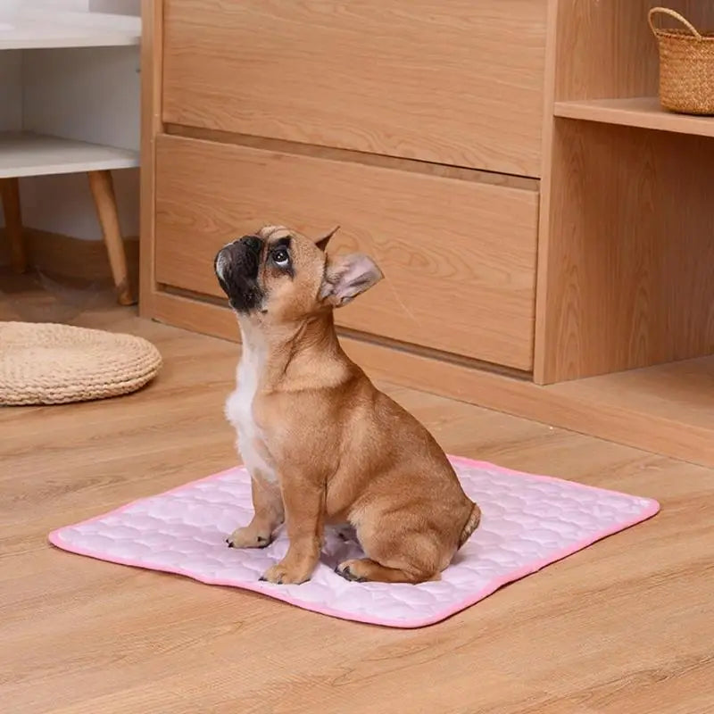 Dog cooling mat