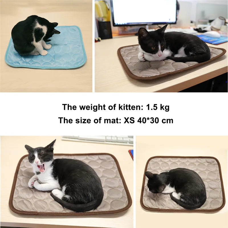 Dog cooling mat
