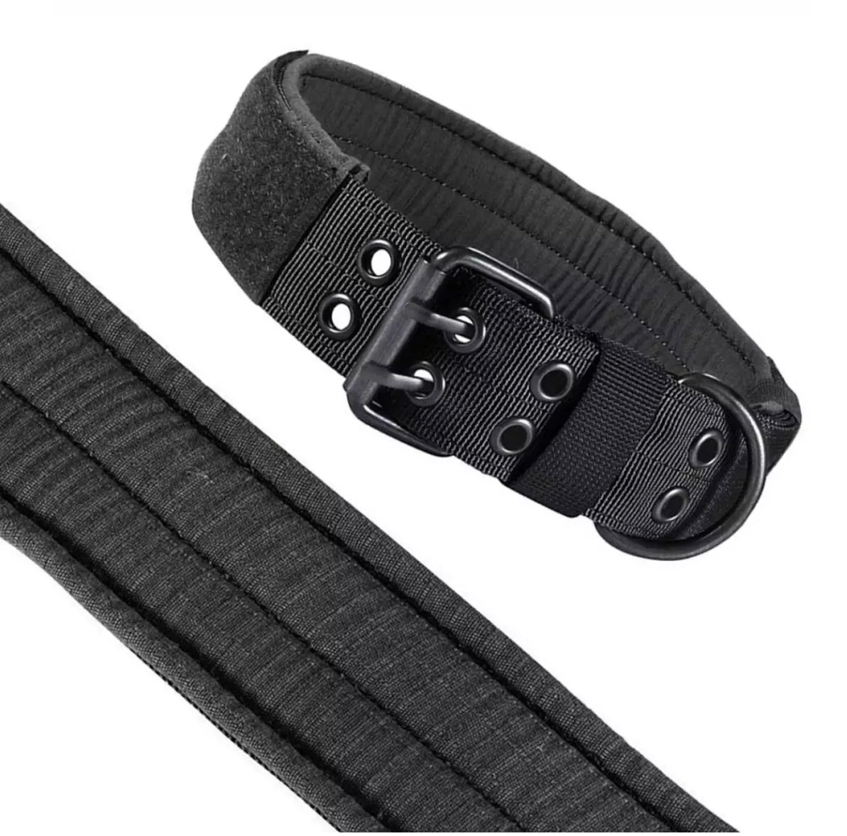 Nylon Dog Collar - Heavy-Duty Tactical Collar | Canisalfa