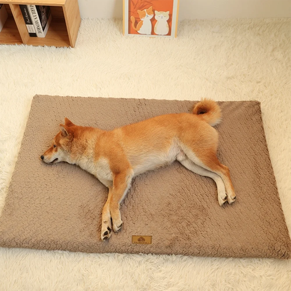 Memory Foam Dog Bed & Orthopedic Pet Bed | Canisalfa