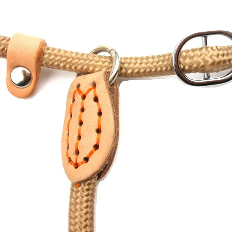 Dog Leash Slip Rope - Heavy Duty Training Lead | Canisalfa