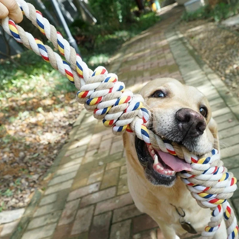 Rope and chewing toy for dogs