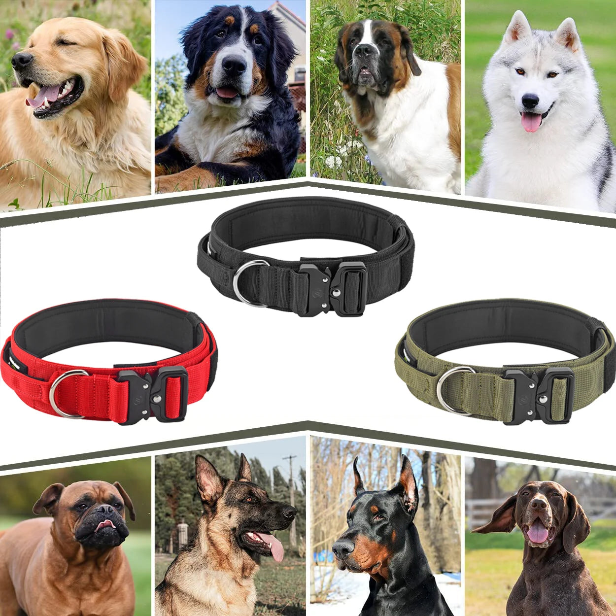 Durable Dog Collar - Comfortable & Strong | Canisalfa