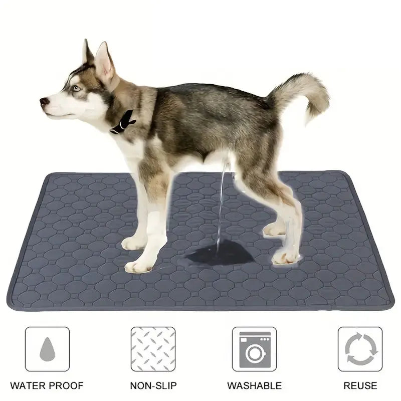 Reusable Dog Pee Pad - Washable & Absorbent Mat | Canisalfa