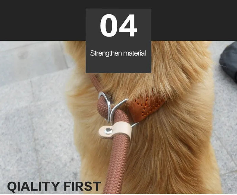 Dog Leash Slip Rope - Heavy Duty Training Lead | Canisalfa