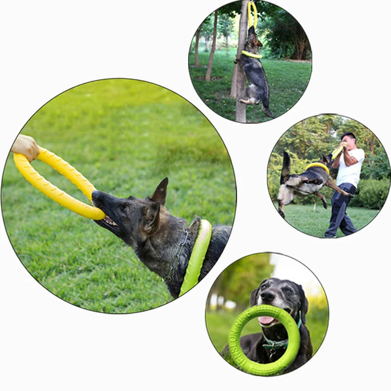 Dog Toy Flying Disk Training Ring | Canisalfa