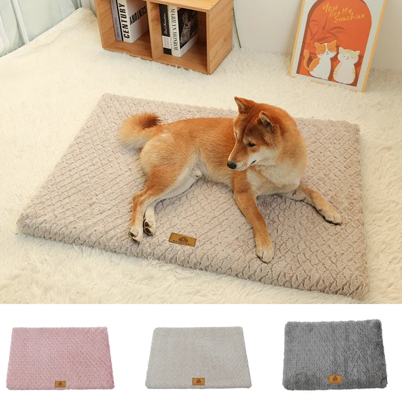 Memory Foam Dog Bed & Orthopedic Pet Bed | Canisalfa