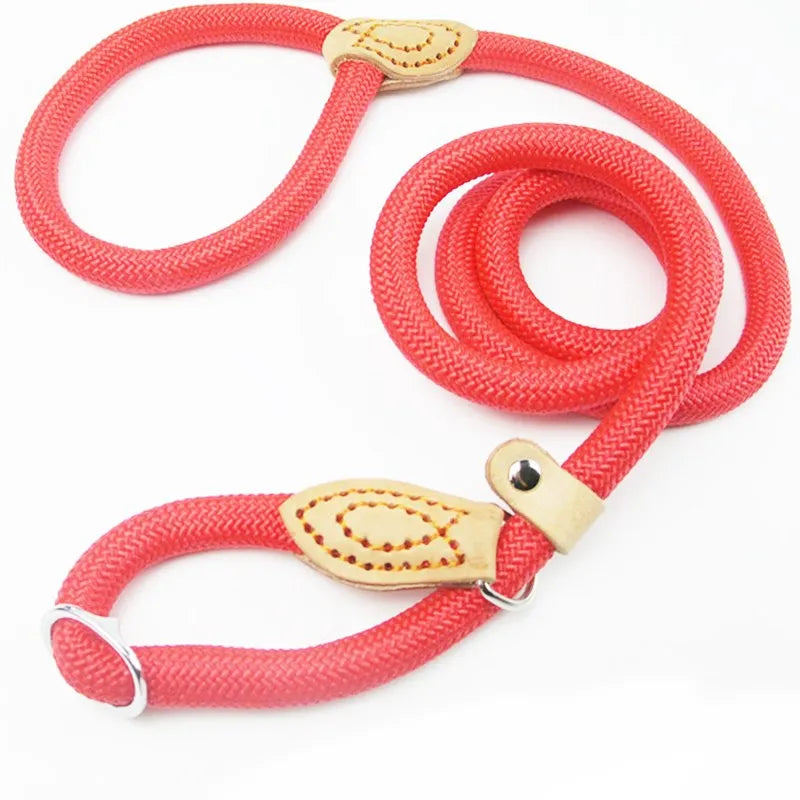 Dog Leash Slip Rope - Heavy Duty Training Lead | Canisalfa