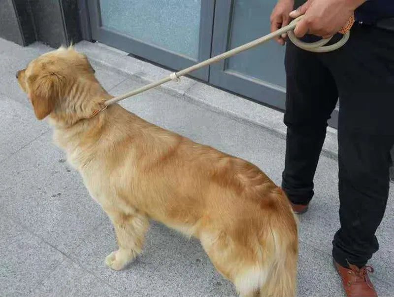 Dog Leash Slip Rope - Heavy Duty Training Lead | Canisalfa