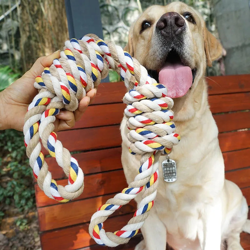 Rope and chewing toy for dogs