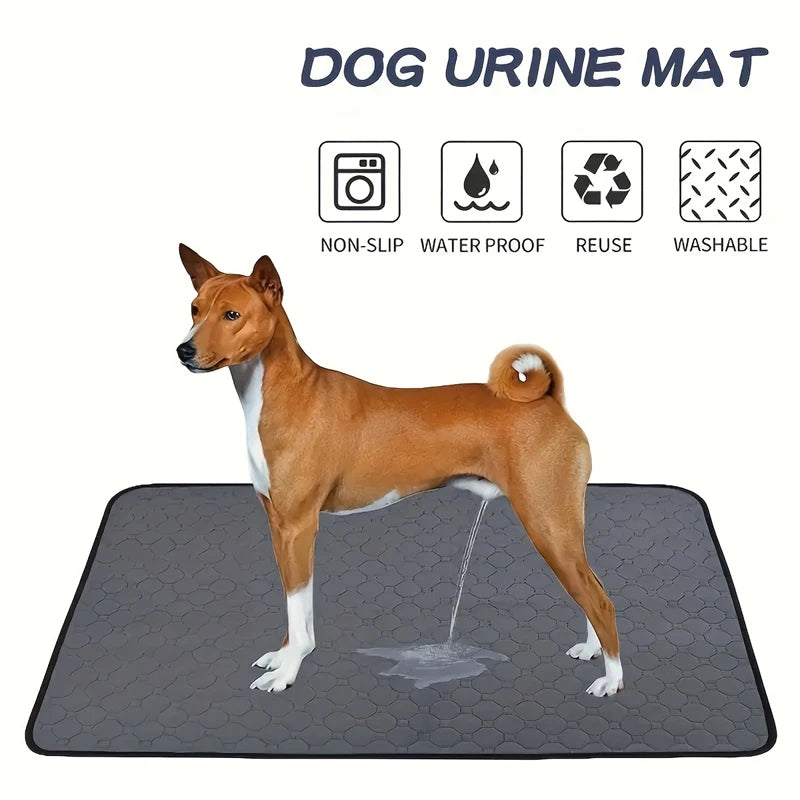 Reusable Dog Pee Pad - Washable & Absorbent Mat | Canisalfa