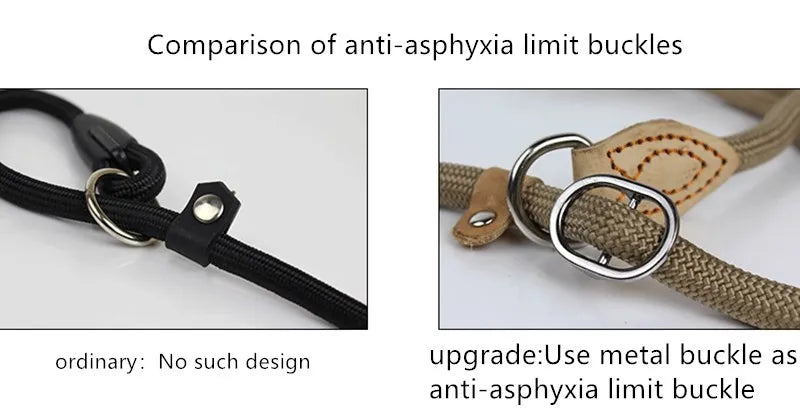 Dog Leash Slip Rope - Heavy Duty Training Lead | Canisalfa