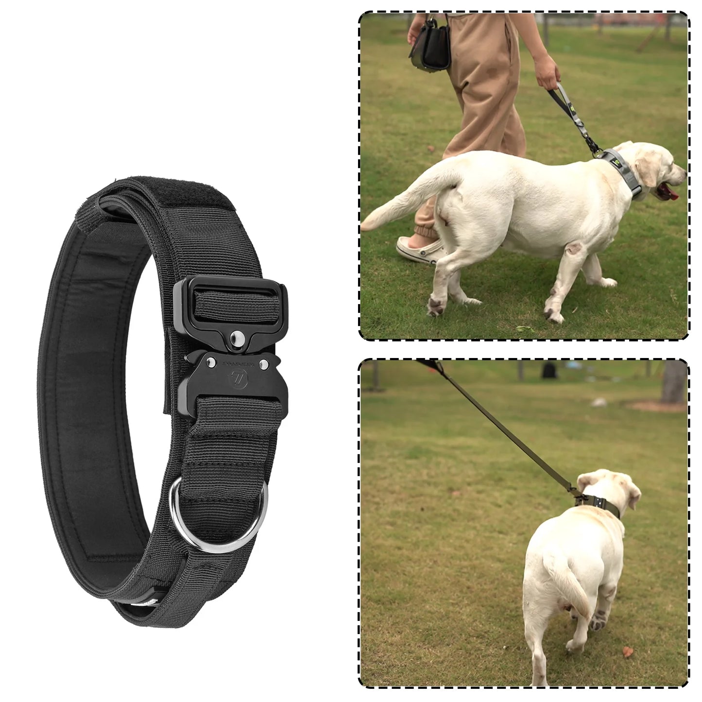 Durable Dog Collar - Comfortable & Strong | Canisalfa