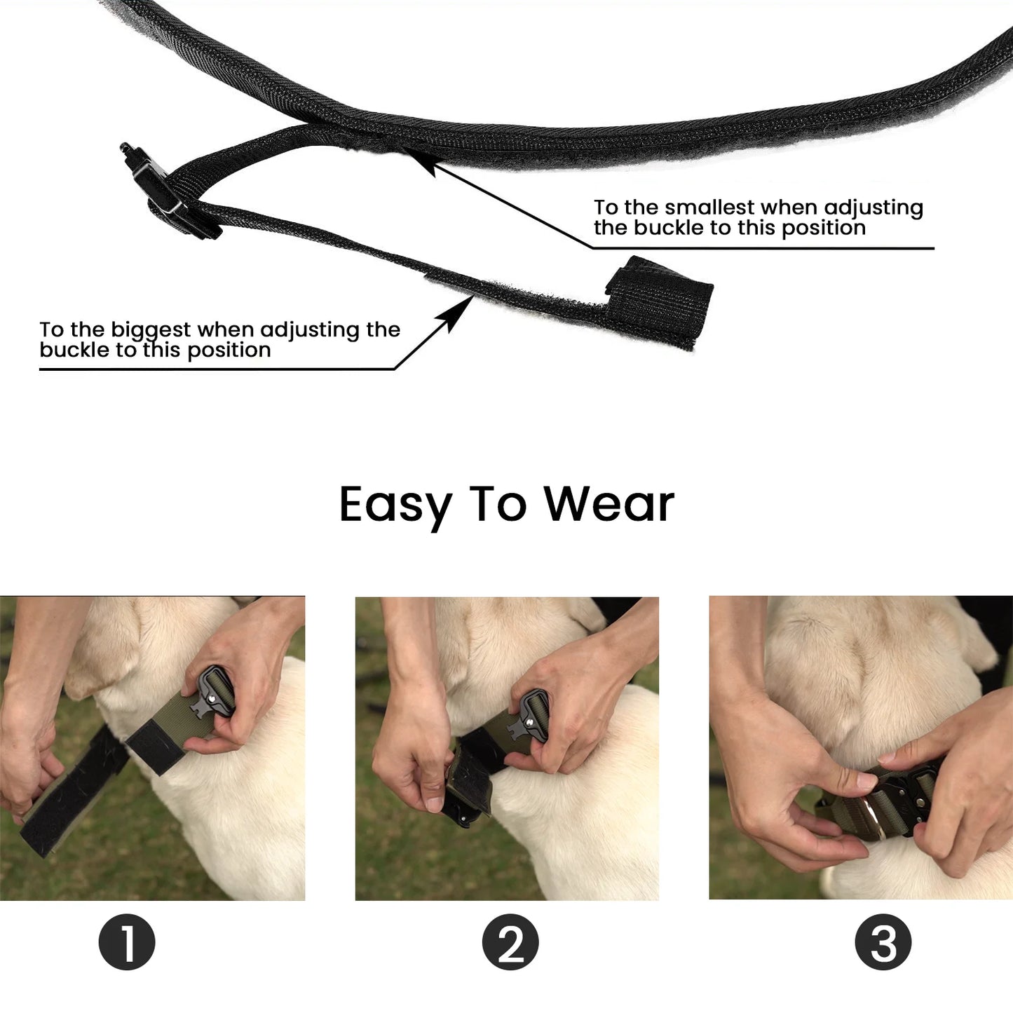 Durable Dog Collar - Comfortable & Strong | Canisalfa