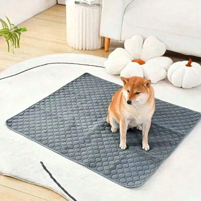 Reusable Dog Pee Pad - Washable & Absorbent Mat | Canisalfa