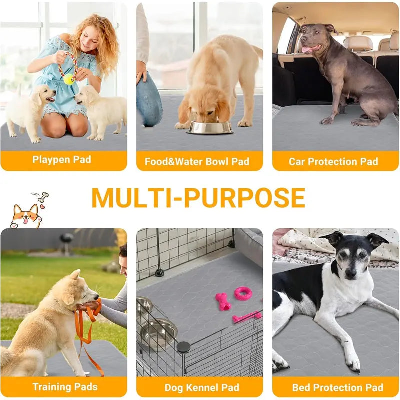 Reusable Dog Pee Pad - Washable & Absorbent Mat | Canisalfa