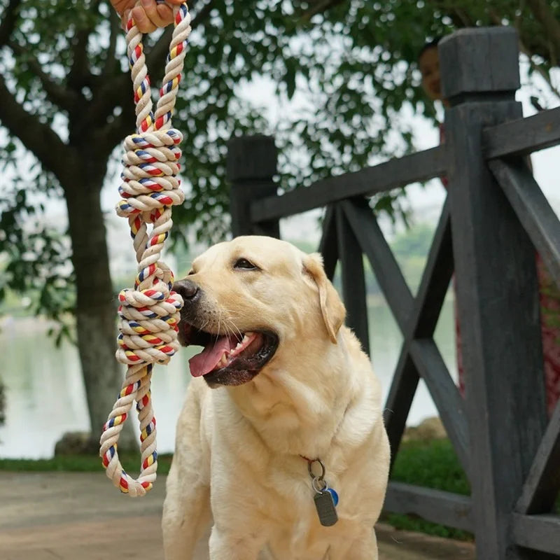 Rope and chewing toy for dogs