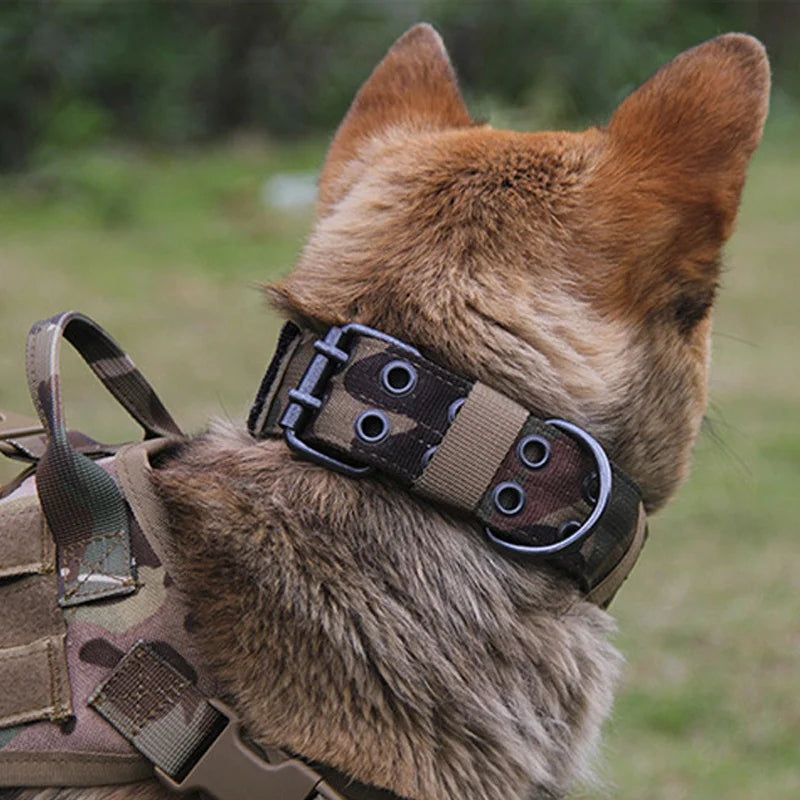 Nylon Dog Collar - Heavy-Duty Tactical Collar | Canisalfa