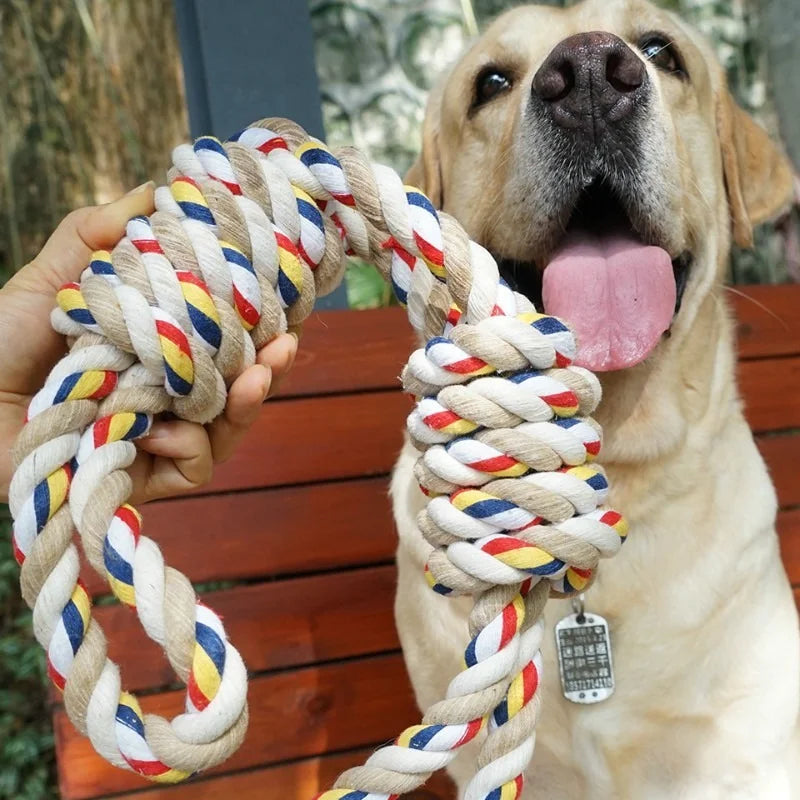 Rope and chewing toy for dogs