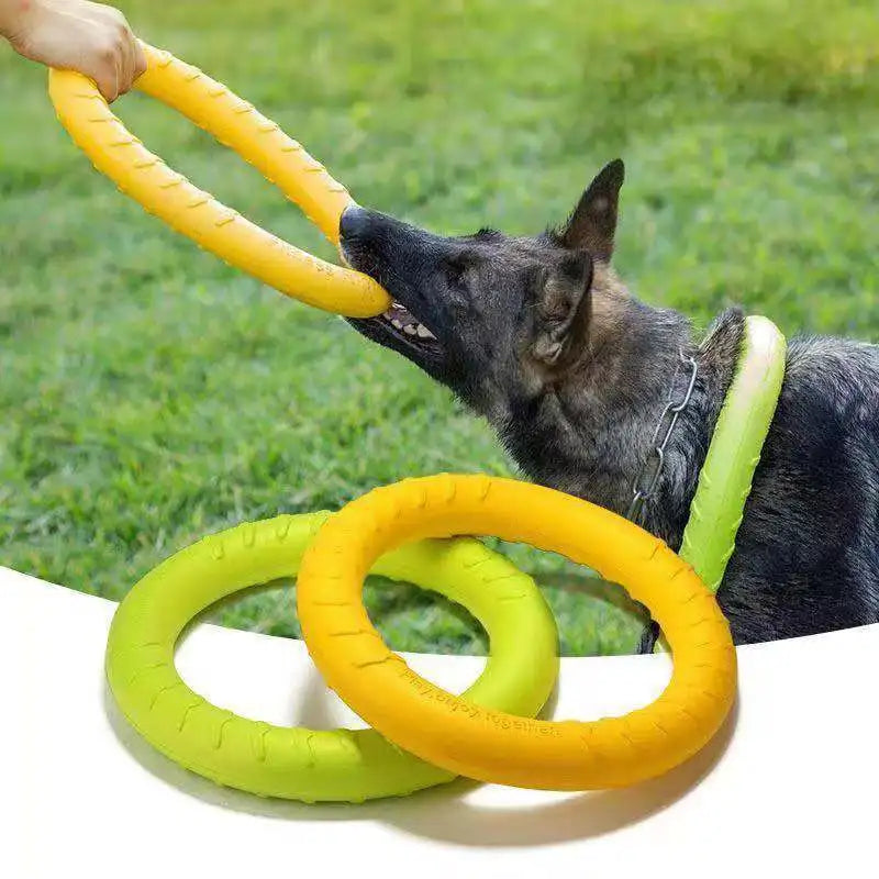 Dog Toy Flying Disk Training Ring | Canisalfa