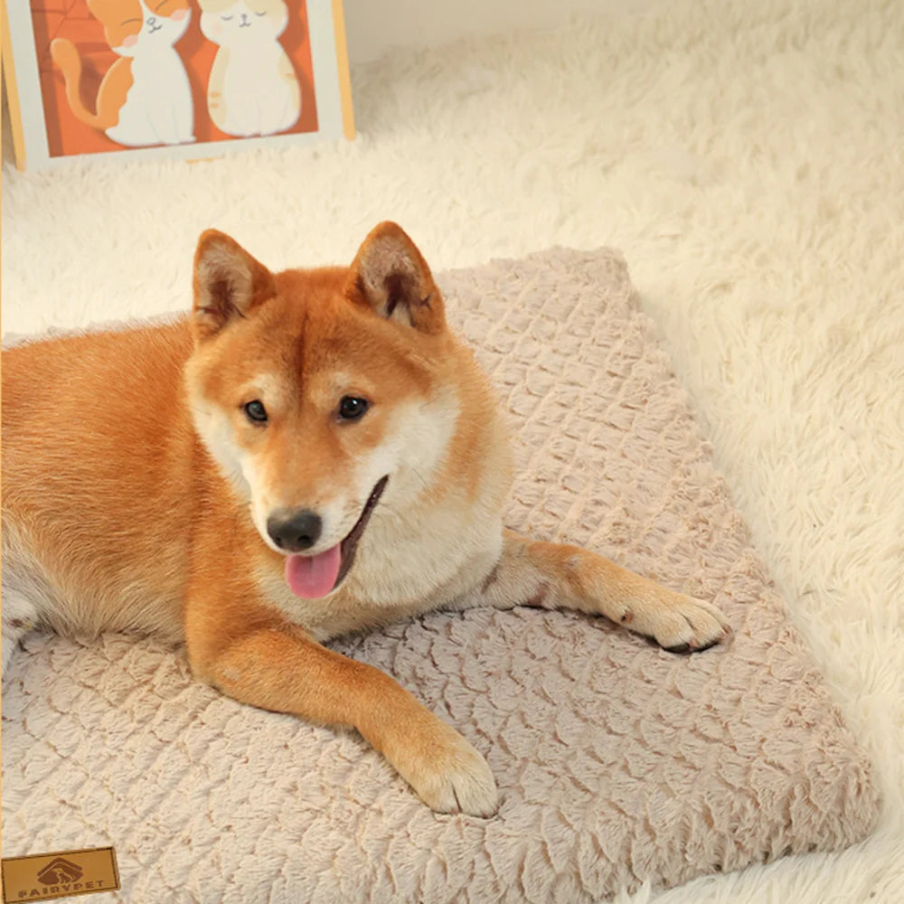 Memory Foam Dog Bed & Orthopedic Pet Bed | Canisalfa