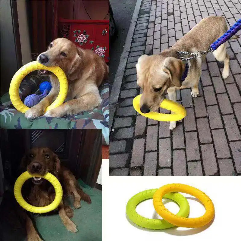 Dog Toy Flying Disk Training Ring | Canisalfa
