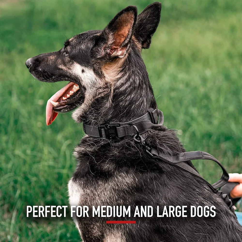 Tactical Dog Collar - Reflective & Heavy-Duty | Canisalfa