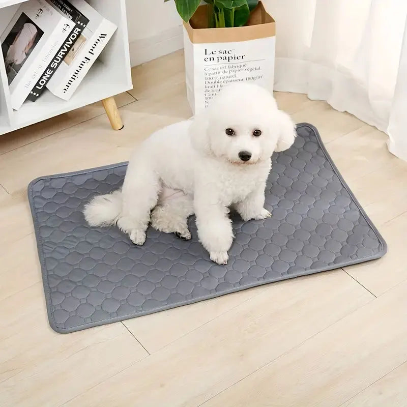 Reusable Dog Pee Pad - Washable & Absorbent Mat | Canisalfa