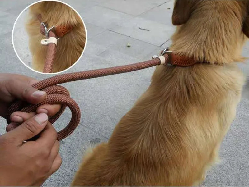 Dog Leash Slip Rope - Heavy Duty Training Lead | Canisalfa