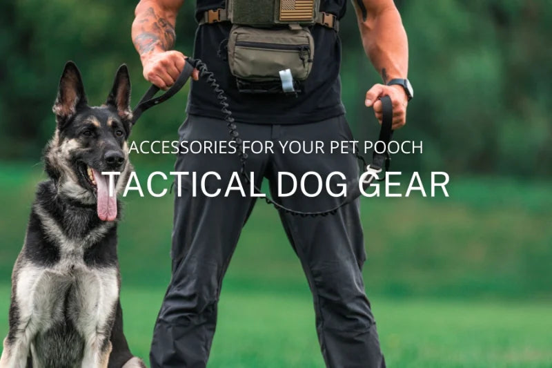 Tactical Dog Collar - Reflective & Heavy-Duty | Canisalfa