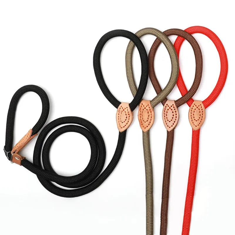Dog Leash Slip Rope - Heavy Duty Training Lead | Canisalfa