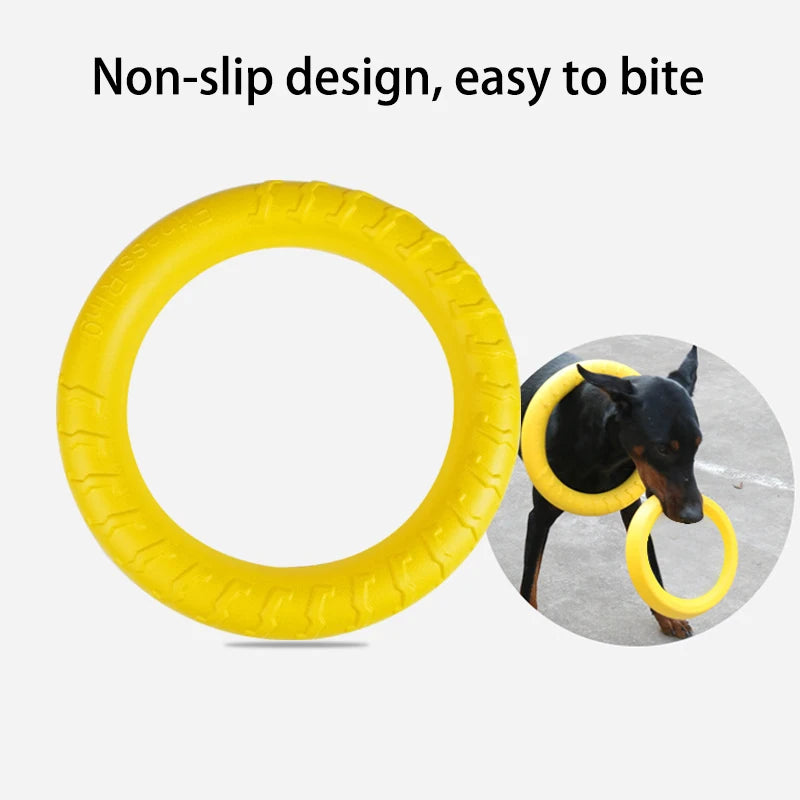 Dog Toy Flying Disk Training Ring | Canisalfa