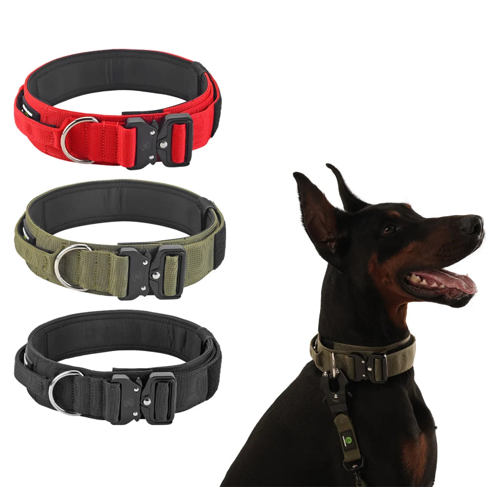 Durable Dog Collar - Comfortable & Strong | Canisalfa