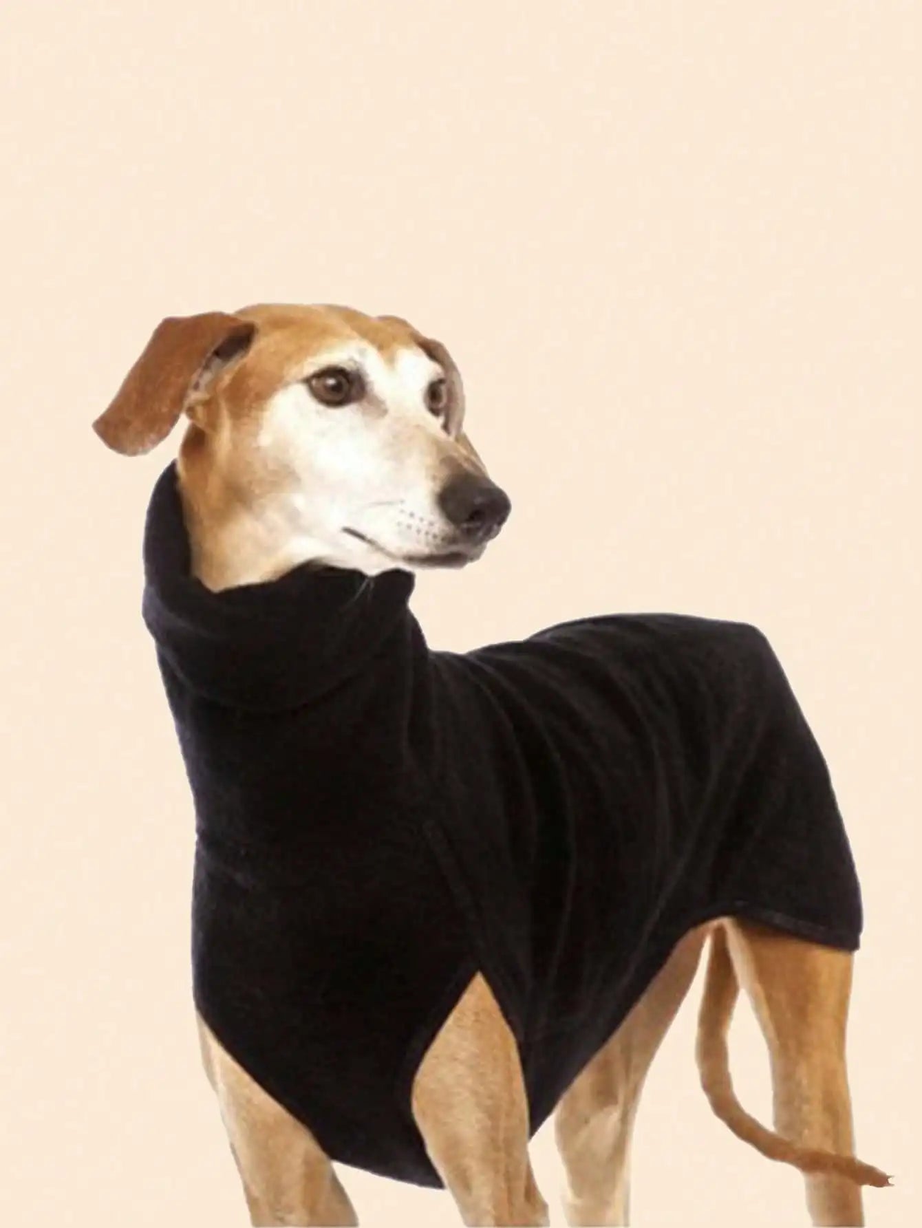 Greyhound Clothes & Winter Onesies | Canisalfa
