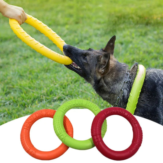 Dog Toy Flying Disk Training Ring | Canisalfa